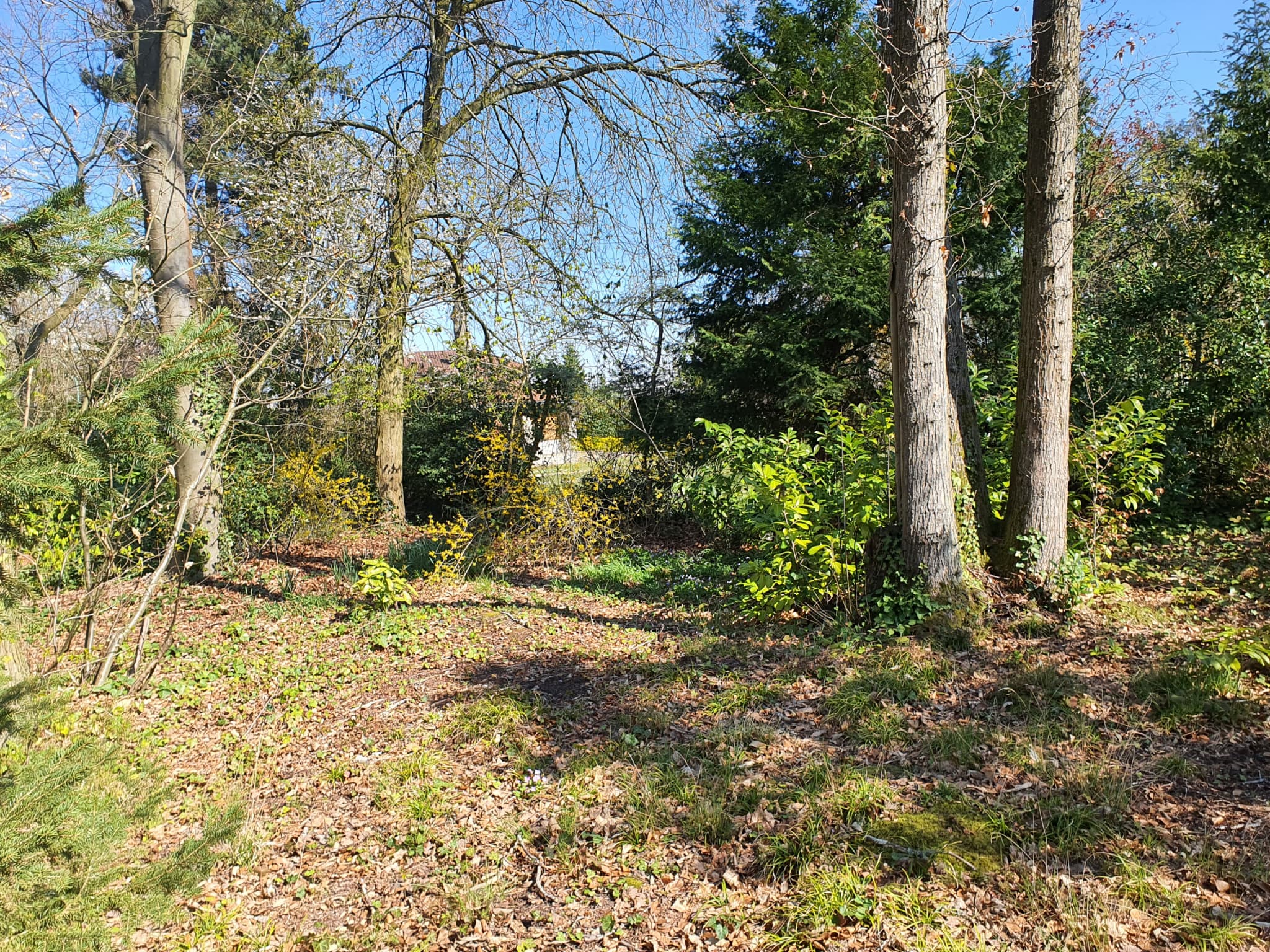 Terrain à Batir photo n°2