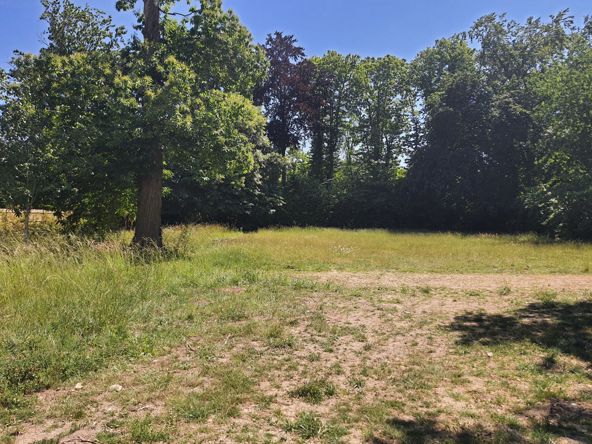 Terrain à Batir photo n°3