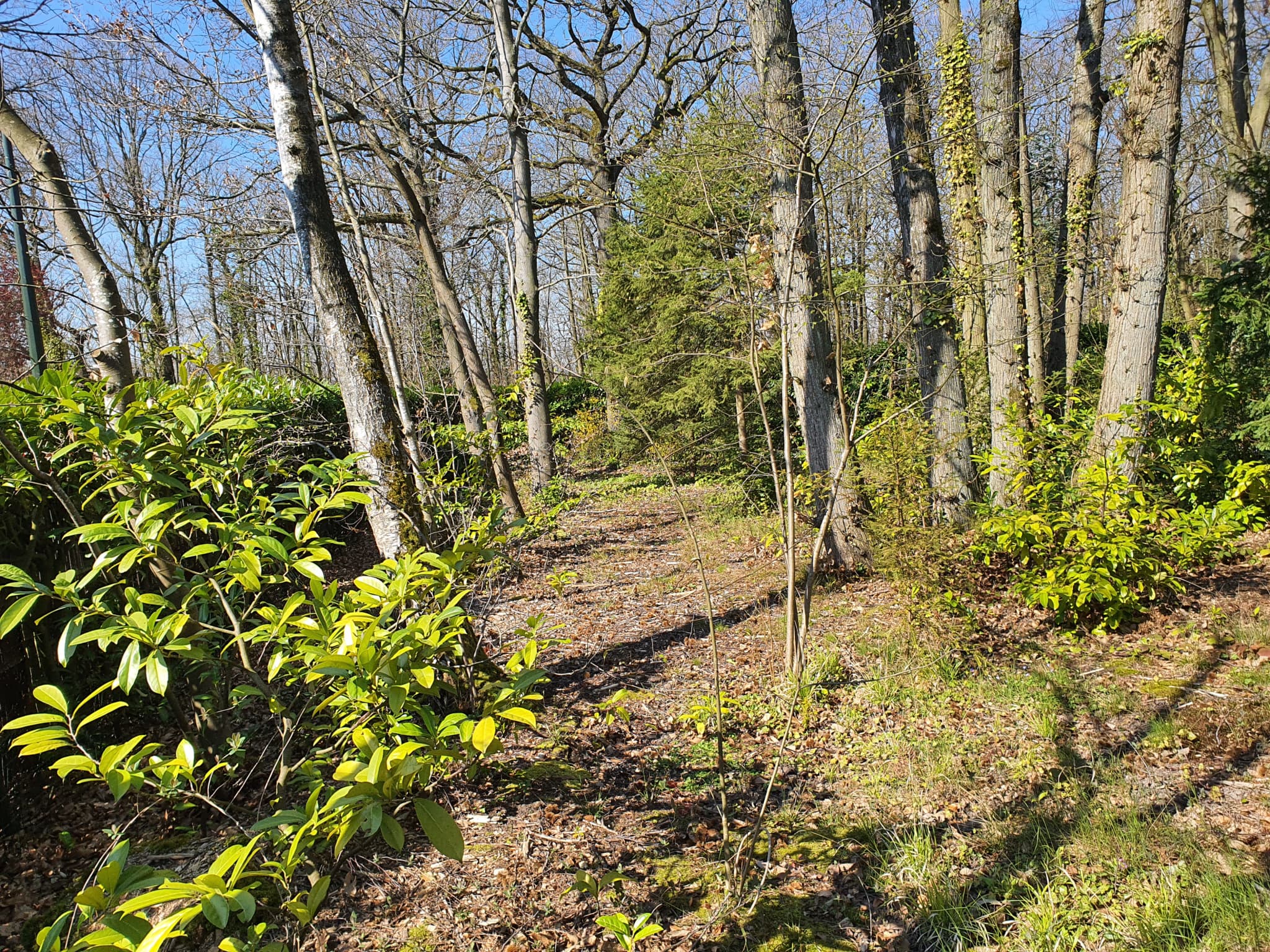 Terrain à Batir photo n°6